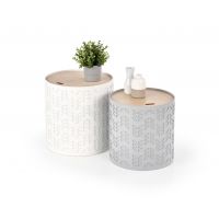 HALMAR - Ława Alba zestaw dwóch ław z pojemnikiem biały / popiel