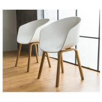 SIGNAL - EGO Krzesło | Tworzywo PP | Stelaż Dąb