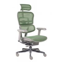 GROSPOL - ERGOHUMAN 2 ELITE Fotel Obrotowy GS Green | Szary Stelaż | Zielona Siatka | Mechanizm Drift Tilt | Podłokietnik 5D | Fotel do 150 kg | Zgodny z Rozporządzeniem z 2023 roku