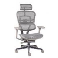 GROSPOL - ERGOHUMAN 2 ELITE Fotel Obrotowy GS Grey | Szary Stelaż | Szara Siatka | Mechanizm Drift Tilt | Podłokietnik 5D | Fotel do 150 kg | Zgodny z Rozporządzeniem z 2023 roku